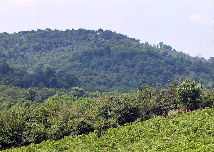 روستای شیاده روستای شیاده روستای شیاده