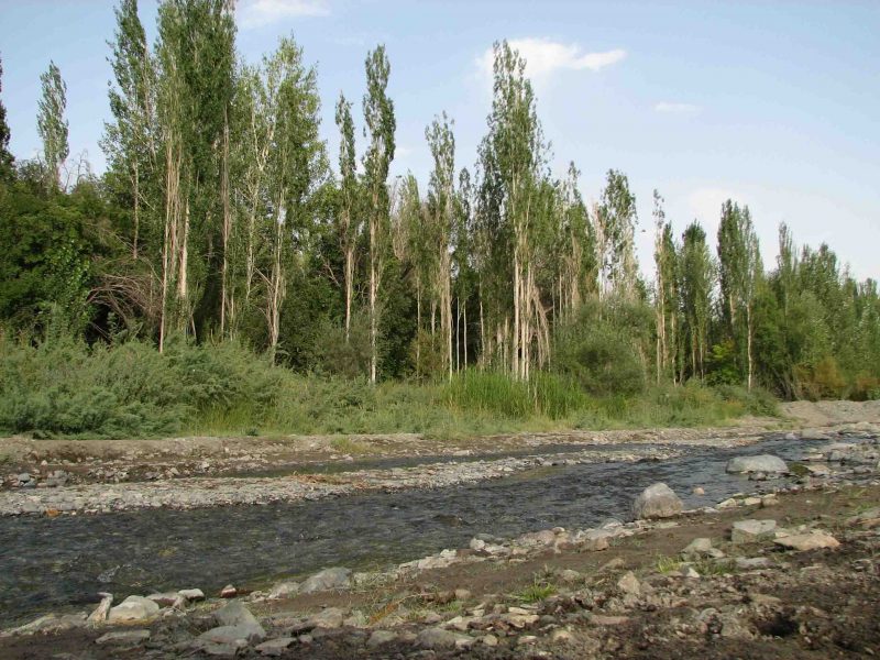 60 روستای نامق