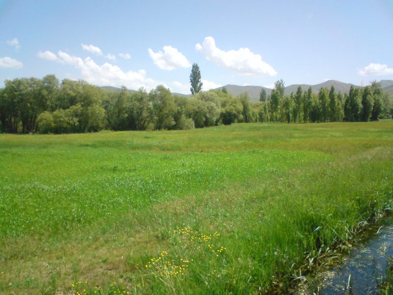 88 روستای سیس