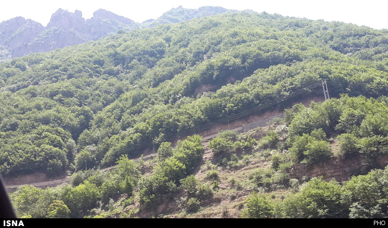 توسعه طرحهای جنگلداری با مشارکت مردمی 821 توسعه طرحهای جنگلداری با مشارکت مردمی