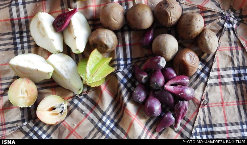 530 تماشای تهران از ارتفاع 3300 متری + تصاویر