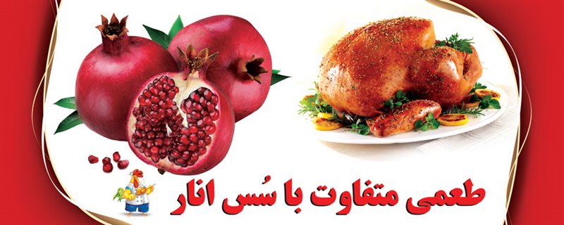  مرغ بریان طاهری قم