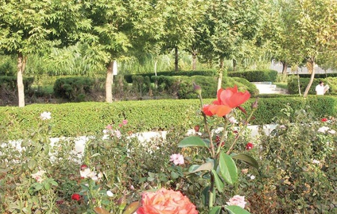 1359 بوستان نقاشباشی