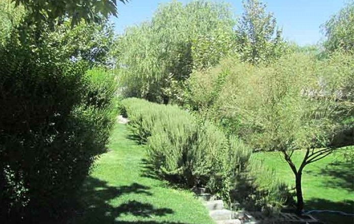 1364 بوستان نقاشباشی