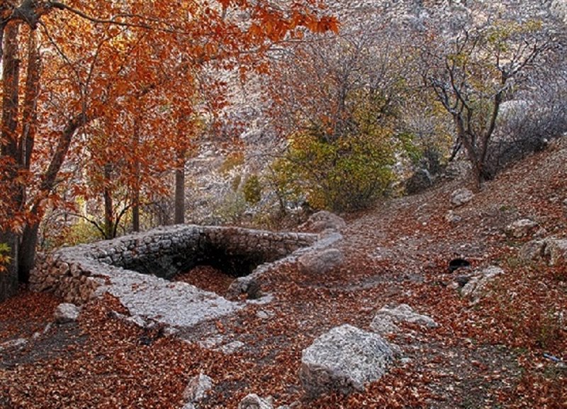 پارک جنگلی استهبان 1453 پارک جنگلی استهبان