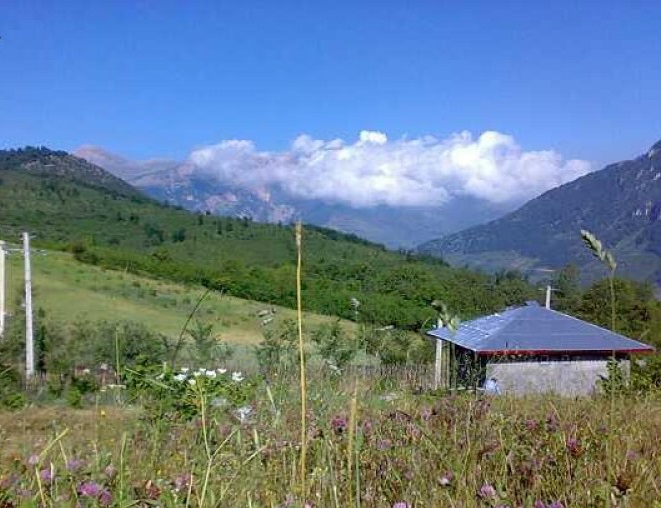 491 روستای شوک