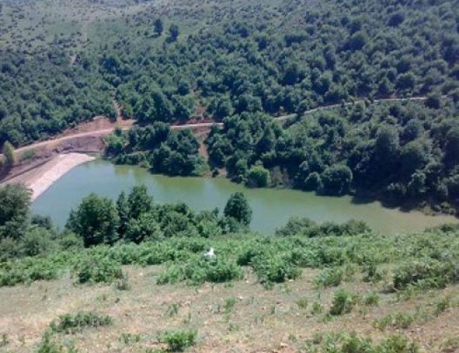 499 روستای شوک