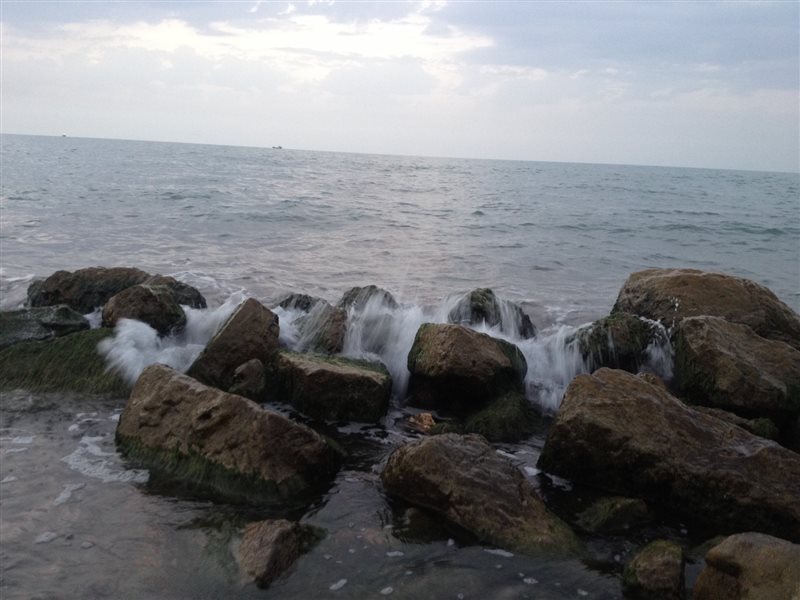 رستوران شیلات بابلسر 865 رستوران شیلات بابلسر