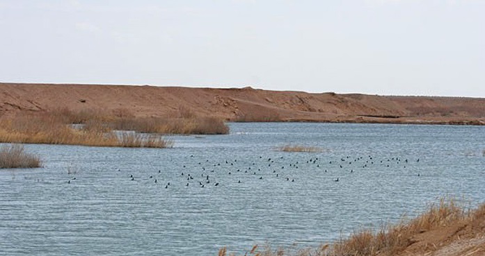 1224 منطقه حفاظت شده سیرخون