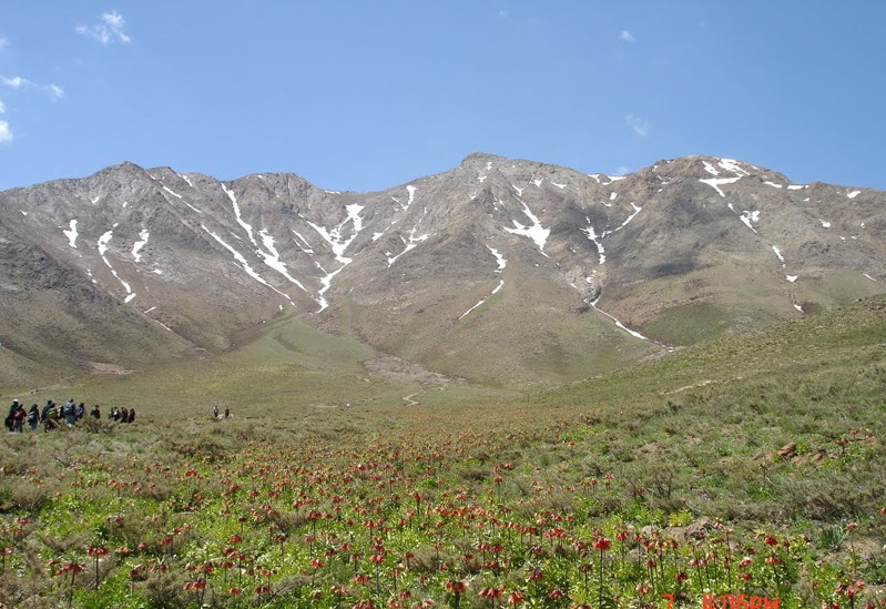 124 منطقه حفاظت شده گلستان کوه