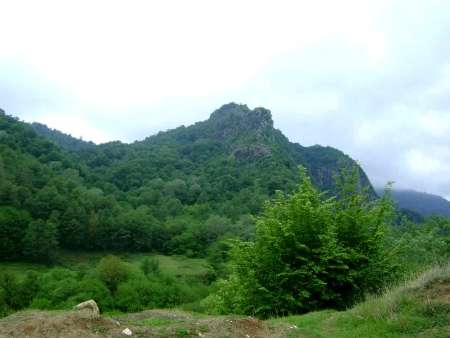 پارک جنگلی تنگه مینودشت گلستان، جاذبه ای طبیعی بدون امکانات 1241 پارک جنگلی تنگه مینودشت گلستان، جاذبه ای طبیعی بدون امکانات