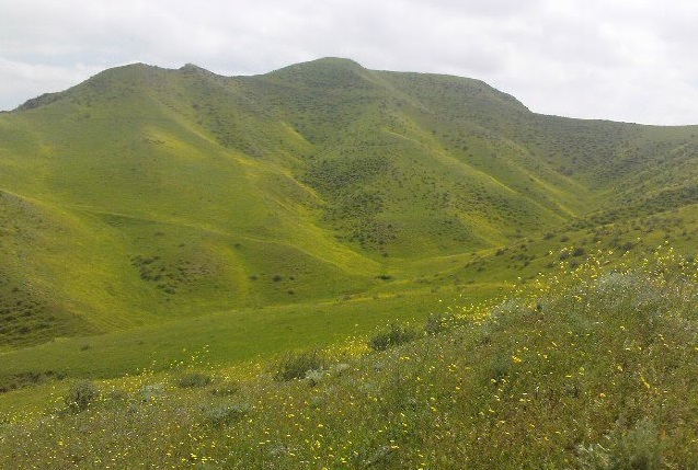 161 منطقه حفاظت شده مغان