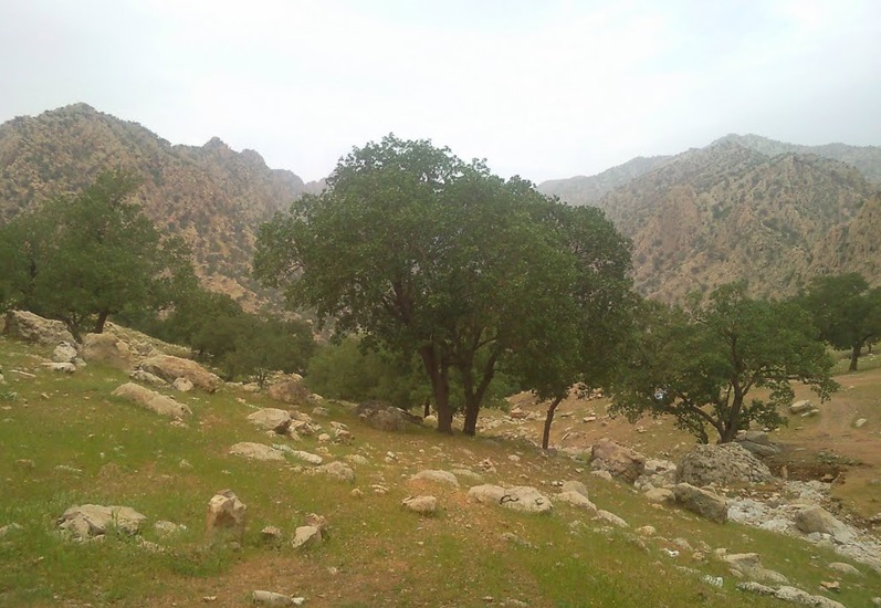 منطقه حفاظت شده کوه دیل 348 منطقه حفاظت شده کوه دیل