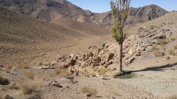 367 منطقه حفاظت شده کوه آسیاب کوهبنان