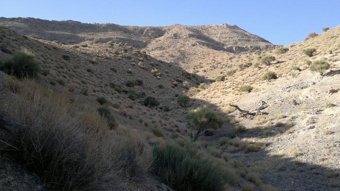 368 منطقه حفاظت شده کوه آسیاب کوهبنان