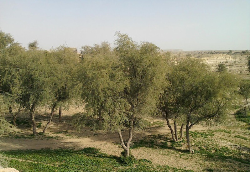 550 منطقه حفاظت شده سراج