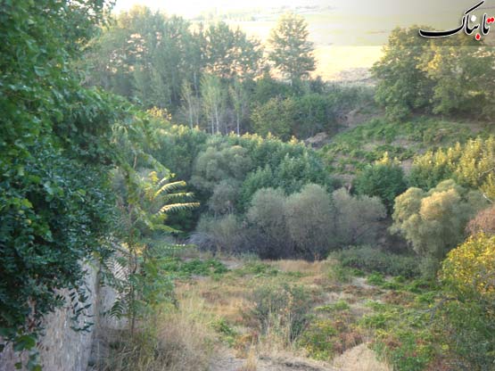 114222_605 روستای صمغ آباد