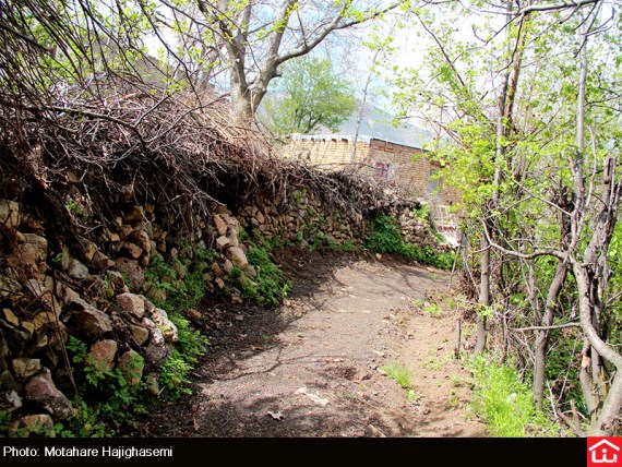 14802_475 روستای سوته کش