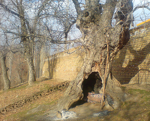 روستای چناسک DSC076141 روستای چناسک