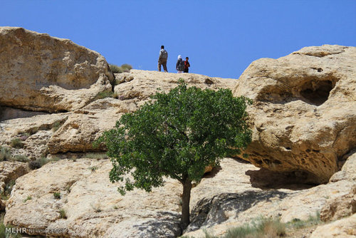 روستای دارستان سیرجان resized_580128_542 روستای دارستان سیرجان