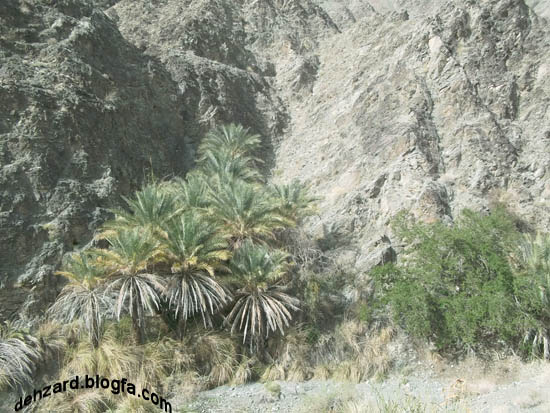 تصاویری زیبا از منطقه گردشگری خوشدر روستای ده زرد (2)_sc روستای ده زرد