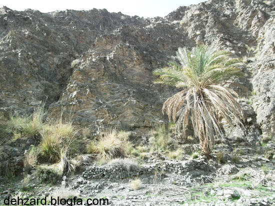 تصاویری زیبا از منطقه گردشگری خوشدر روستای ده زرد (3)_sc روستای ده زرد