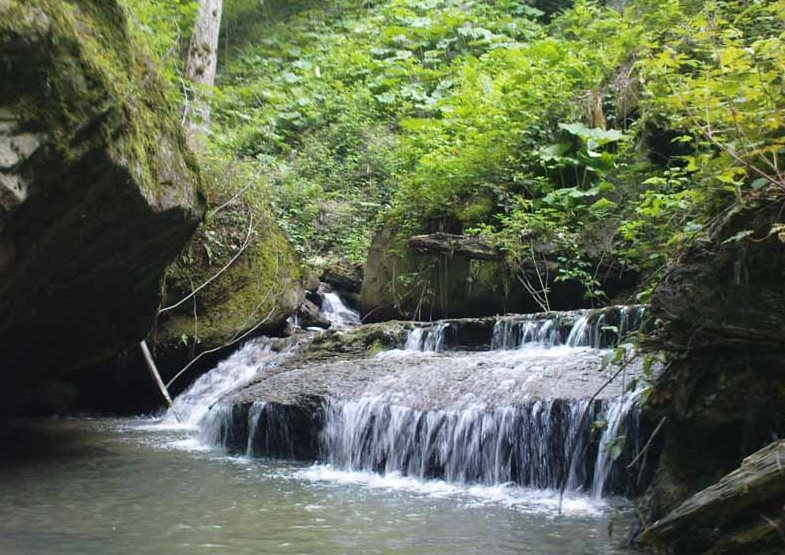روستای سوسرا %d8%ac%d8%a7%d9%87%d8%a7%db%8c-%d8%af%db%8c%d8%af%d9%86%db%8c-%da%af%d9%84%d8%b3%d8%aa%d8%a7%d9%86-%d8%b1%d9%88%d8%b3%d8%aa%d8%a7%db%8c-%d8%b3%d9%88%d8%b3%d8%b1%d8%a7-1 روستای سوسرا