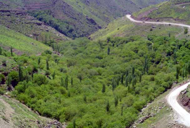 دزآور روستای دزآور