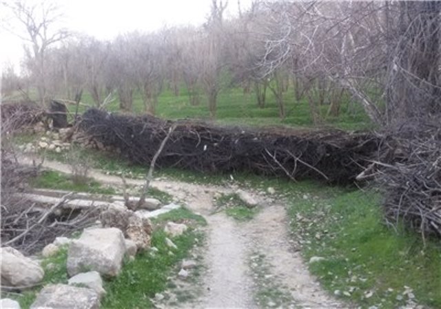 روستای المور 13940106230017294991053 روستای المور