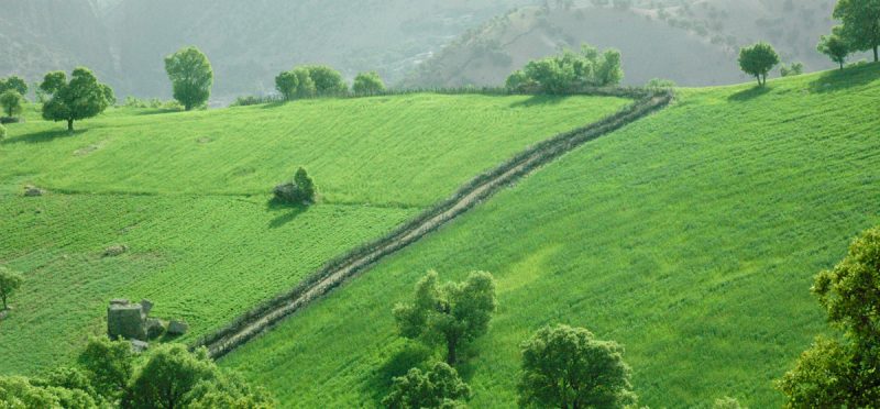روستای پراشکفت 341a روستای پراشکفت