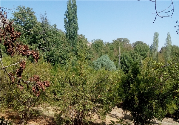 روستای المور 45517889_39169854fafbe روستای المور