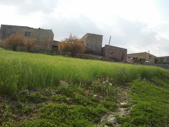 روستای المور 85_big روستای المور