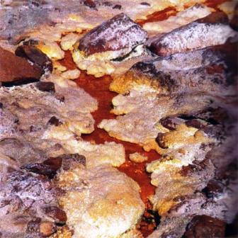 954 چشمه کارگه