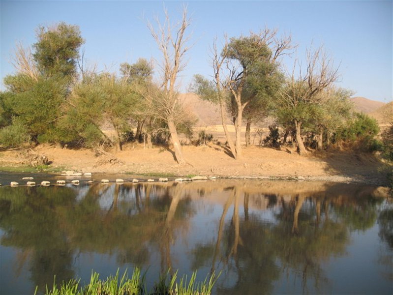 رودخانه سقز 1234 رودخانه سقز