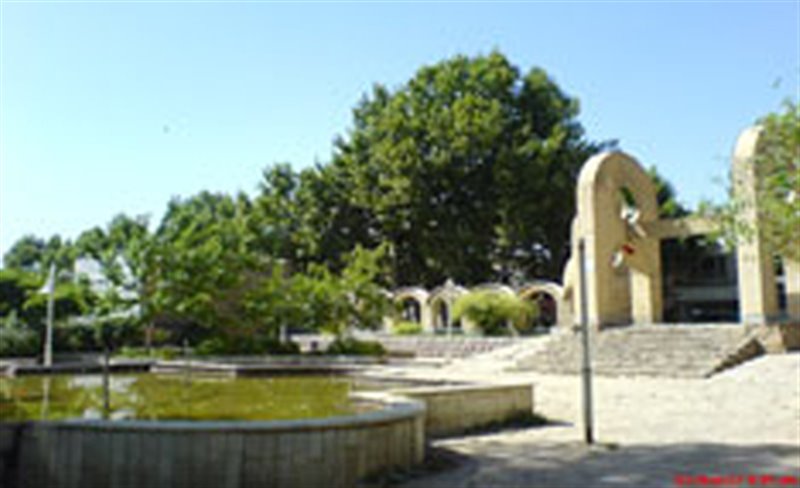 باغ سپیدار 1249 باغ سپیدار