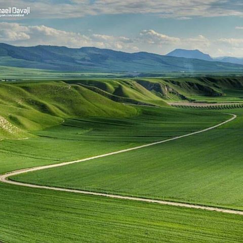 13649384_857347384369181_1861450001_n روستای تمر قره قوزی