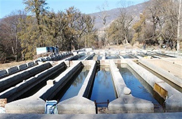 164101 روستای بش اویلی