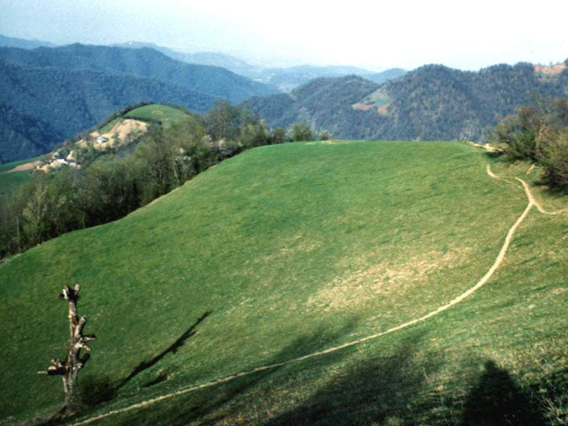 روستای مشند 26134018 روستای مشند