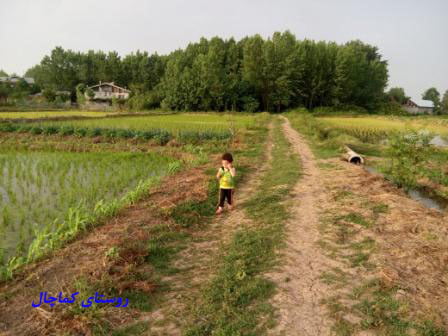 5 روستای کماچال