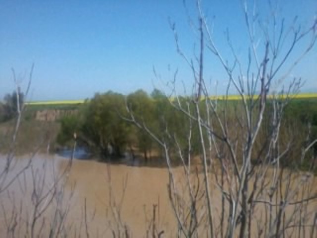 روستای بایلر 653338_cpv599b9 روستای بایلر