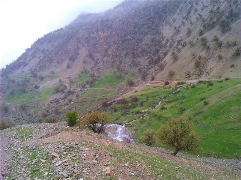 %d8%b1%d9%88%d8%b3%d8%aa%d8%a7%db%8c-%da%af%d9%86%d8%ac%d9%87-90125 روستای گنجه
