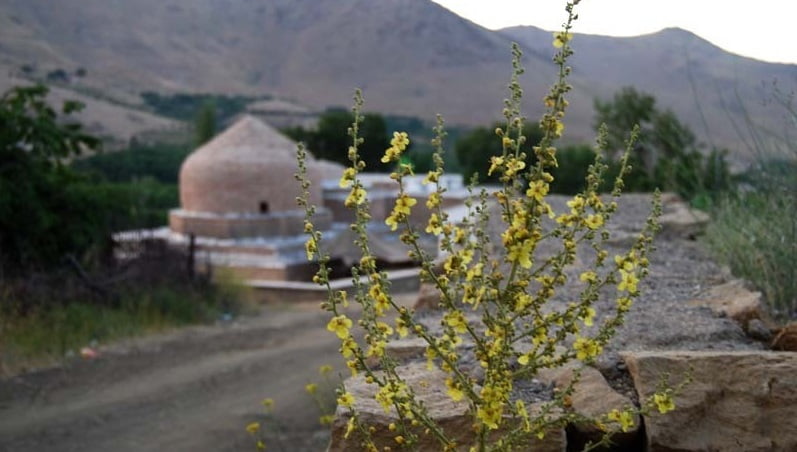 امامزاده محسن مریانج 1452 امامزاده محسن مریانج