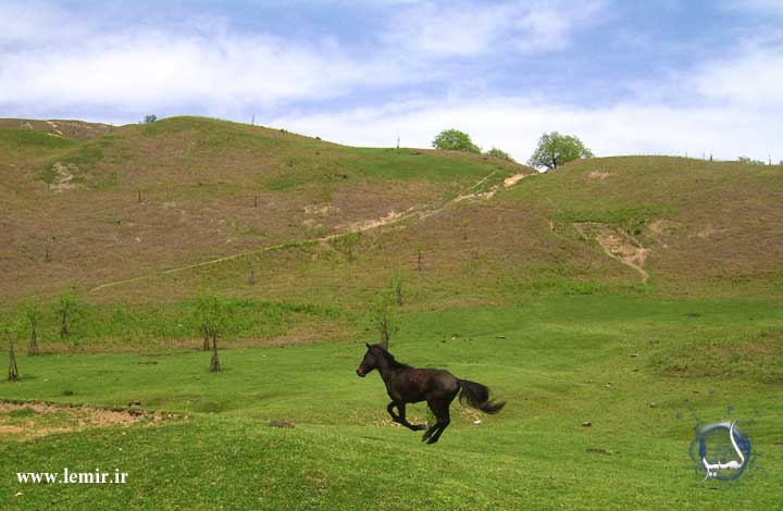 روستای لمیر meskin-lemir-148 روستای لمیر