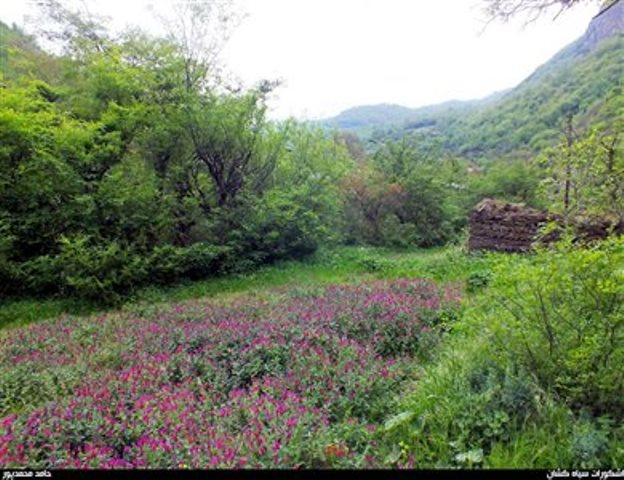 روستای سیاهکشان %d8%b1%d9%88%d8%b3%d8%aa%d8%a7%db%8c-%d8%b3%db%8c%d8%a7%d9%87%da%a9%d8%b4%d8%a7%d9%86-17277-%d9%87%d9%85%da%af%d8%b1%d8%af%db%8c روستای سیاهکشان