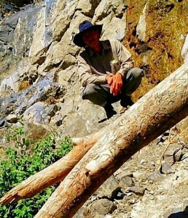 %d8%b2%d8%b1%da%af%d8%b11 روستای زرگر ، روستای ایرانی اروپایی !