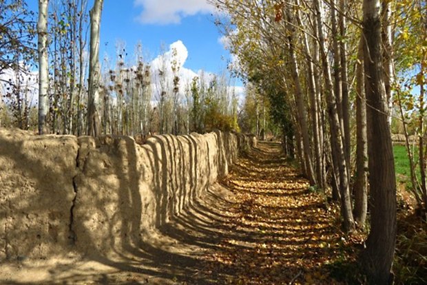 2292535 «گردشگری روستایی» روزنه‌ای برای رونق روستاها