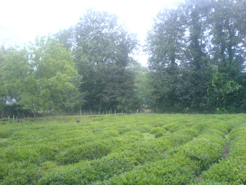 روستای زیده dsc00042 روستای زیده