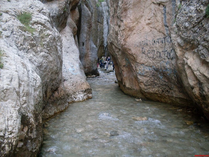 تنگ دار تنگ دار