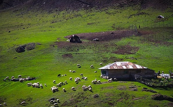 گردنه الماس گردنه الماس