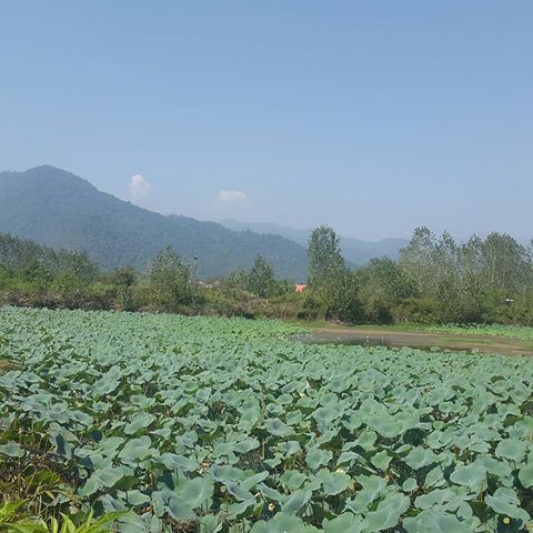 روستای پاشکم روستای پاشکم